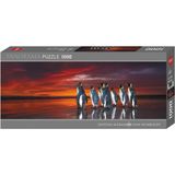 Panorama Puzzle - King Penguins, 1000 Pieces