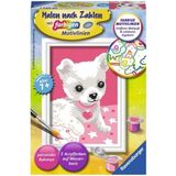 Ravensburger Paint By Numbers - Chihuahua