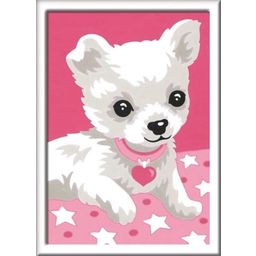 Ravensburger Paint By Numbers - Chihuahua - 1 item