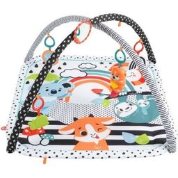 Fisher Price Activity Play Mat