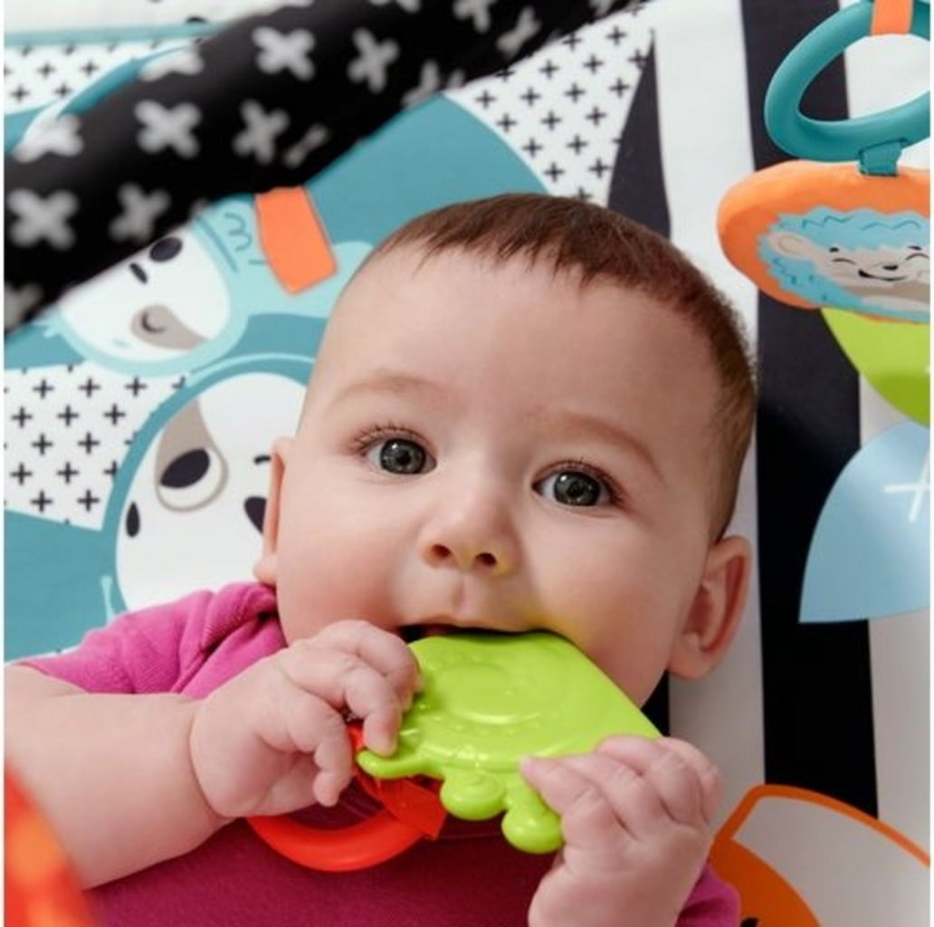 Fisher-Price® Palestrina Luci e Suoni degli Amici Animali 3-in-1 - 1 pz.