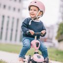 Scoot and Ride Highwaykick 1 - Rose - 1 item