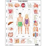 Larsen Frame Puzzle - The Body