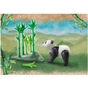 PLAYMOBIL 71060 Wiltopia - Panda - 1 item