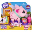 Little Live Pets Interaktiva Piggy Piggles - 1 st.