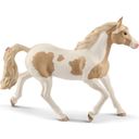 Schleich 13884 - Horse Club - Paint horse, sto