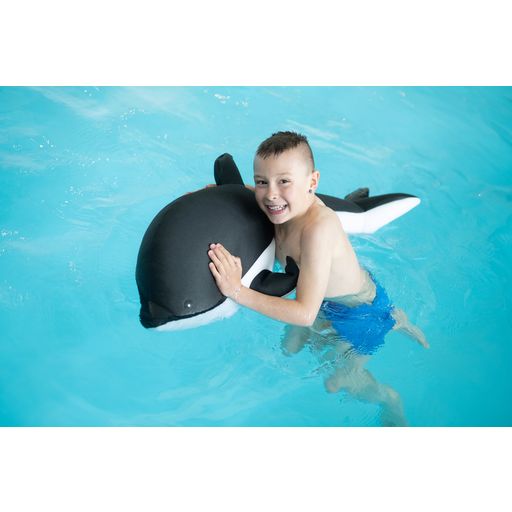 Westmann Pool Buddy Delfin