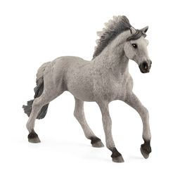 13915 - Farm World - Sorraia Mustang Stallion