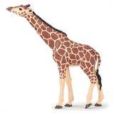 Papo Žirafa z dvignjeno glavo