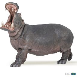 Papo Hippo