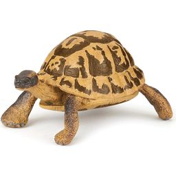 Papo Hermann's Turtle