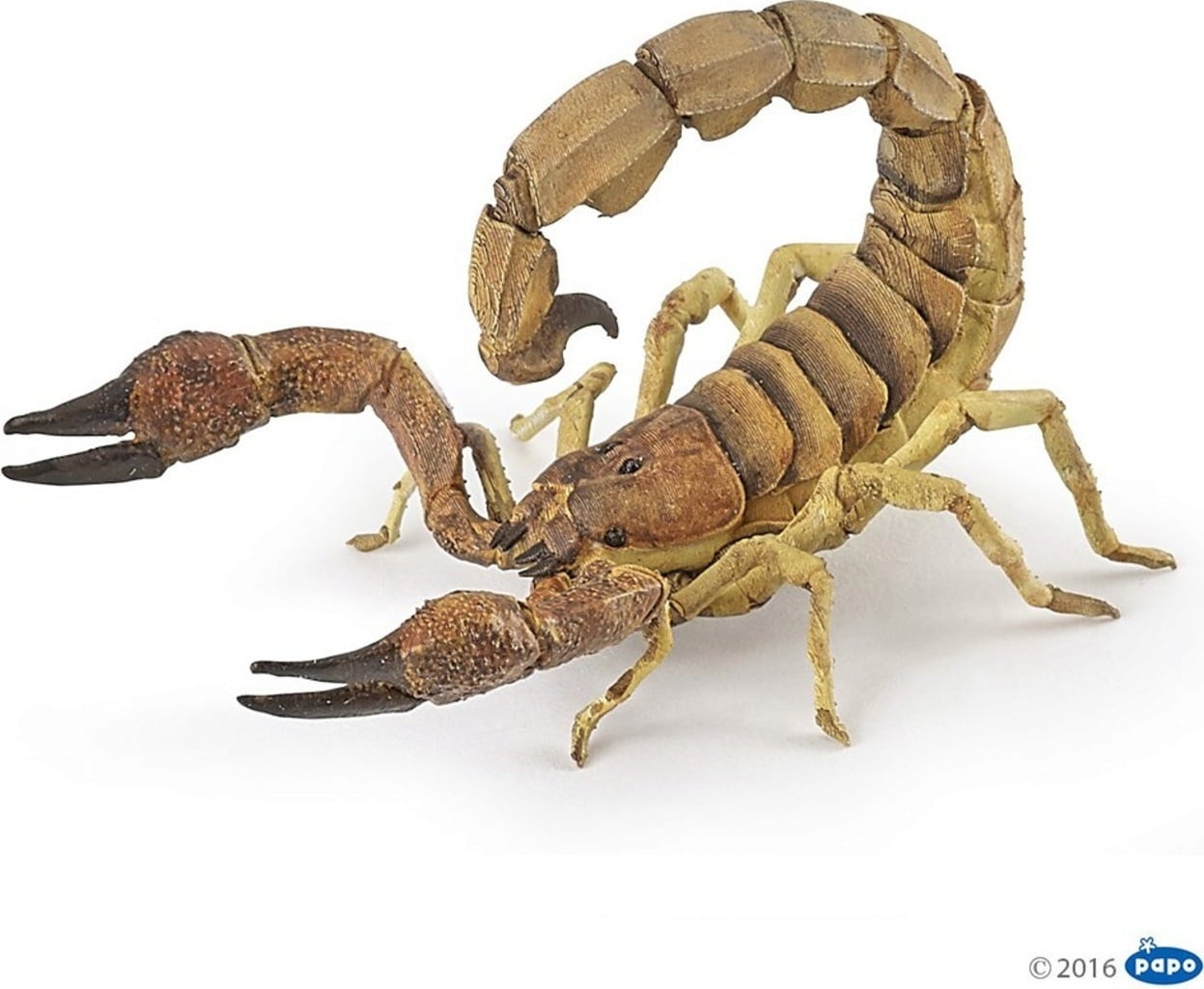 Skorpion
