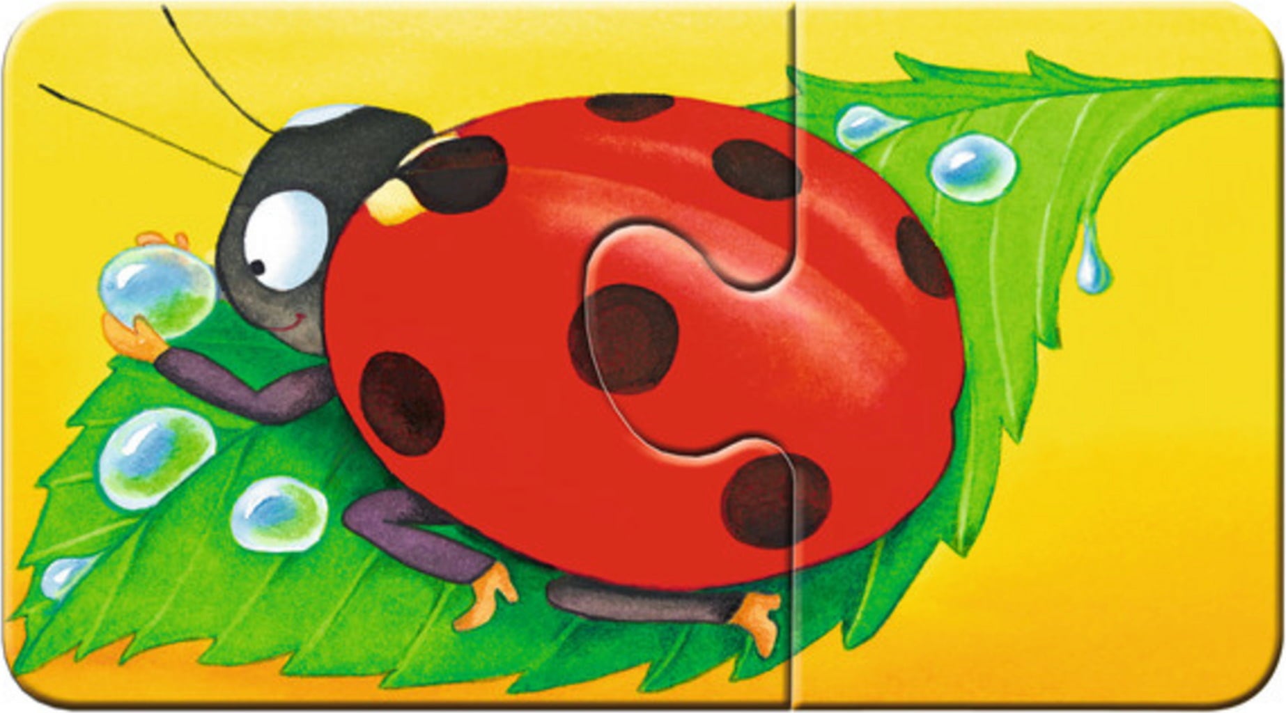 Puzzle - my first Puzzles - Animali nel Giardino, 9 x 2 Pezzi - 1 pz.
