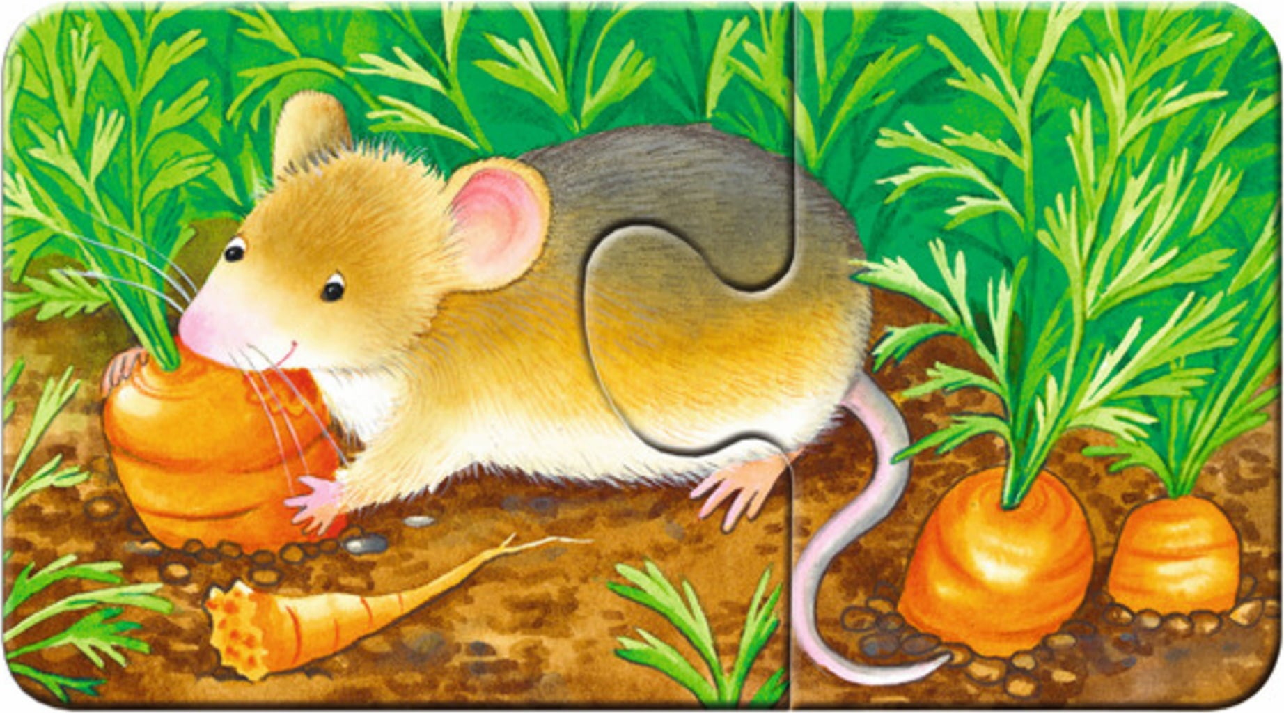 Puzzle - my first Puzzles - Animali nel Giardino, 9 x 2 Pezzi - 1 pz.