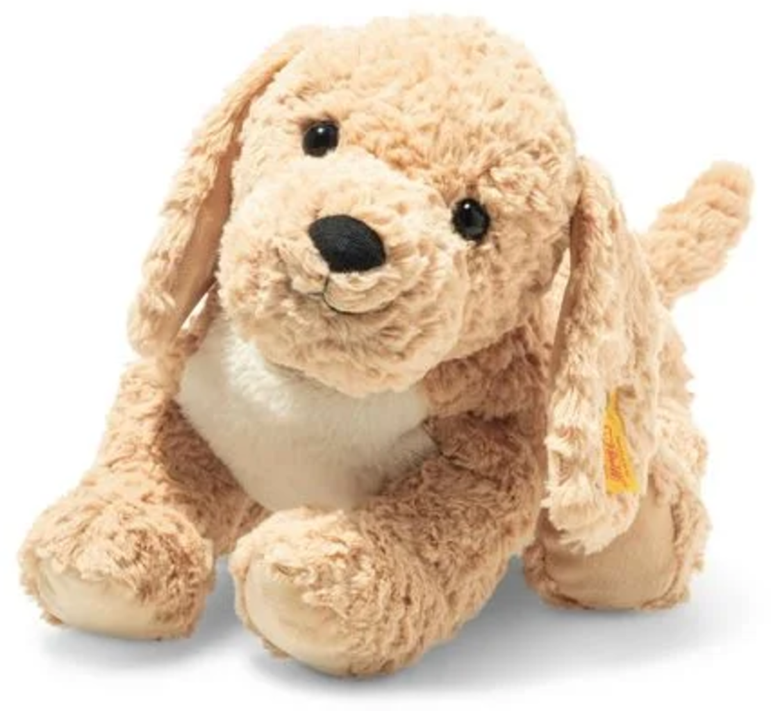 Berno Goldendoodle, 36 cm