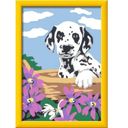Ravensburger Painting by Numbers - Dalmatian Puppy