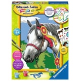 Ravensburger Painting by Numbers - Proud Show Horse