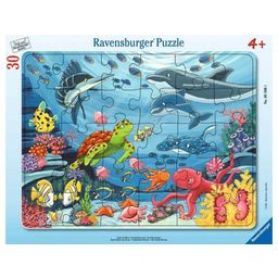 Ravensburger Rahmenpuzzle - Unten im Meer, 30 Teile