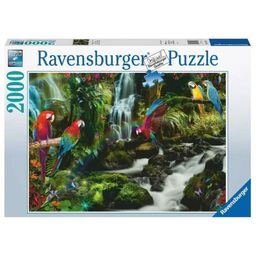 Puzzle - Färgglada Papegojor i Djungeln, 2000 bitar