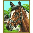 Schipper Paint by Numbers - Portrait of a Horse