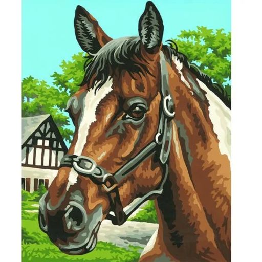 Dipingere con i Numeri - Ritratto di Cavallo