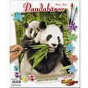 Schipper Malen nach Zahlen - Pandabären