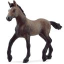 Schleich 13954 - Horse Club - Paso Peruano Foal