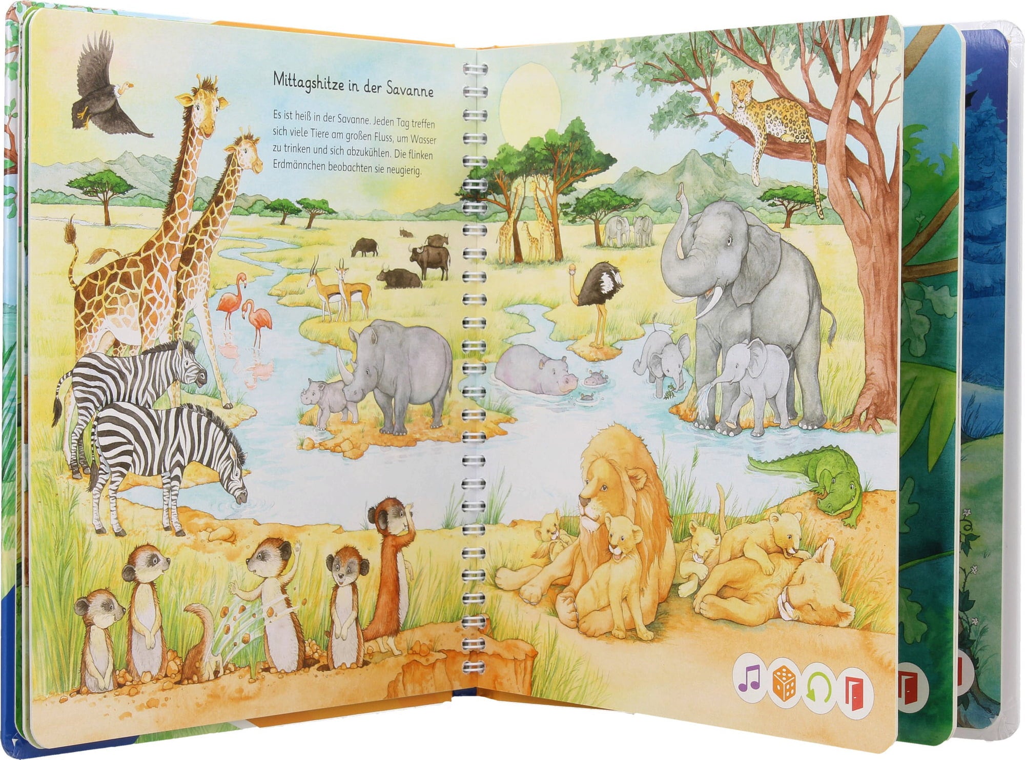 Ravensburger tiptoi - Mein Wörter-Bilderbuch - Tiere - 1 Stk