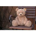 Steiff Jimmy Teddy Bear, 55 cm