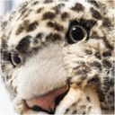 Steiff Parddy Leopard, 36 cm