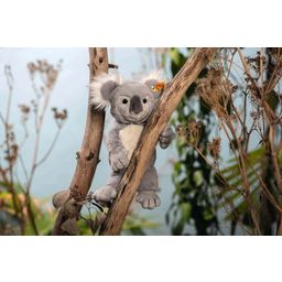 Steiff Koala Nils, 30 cm