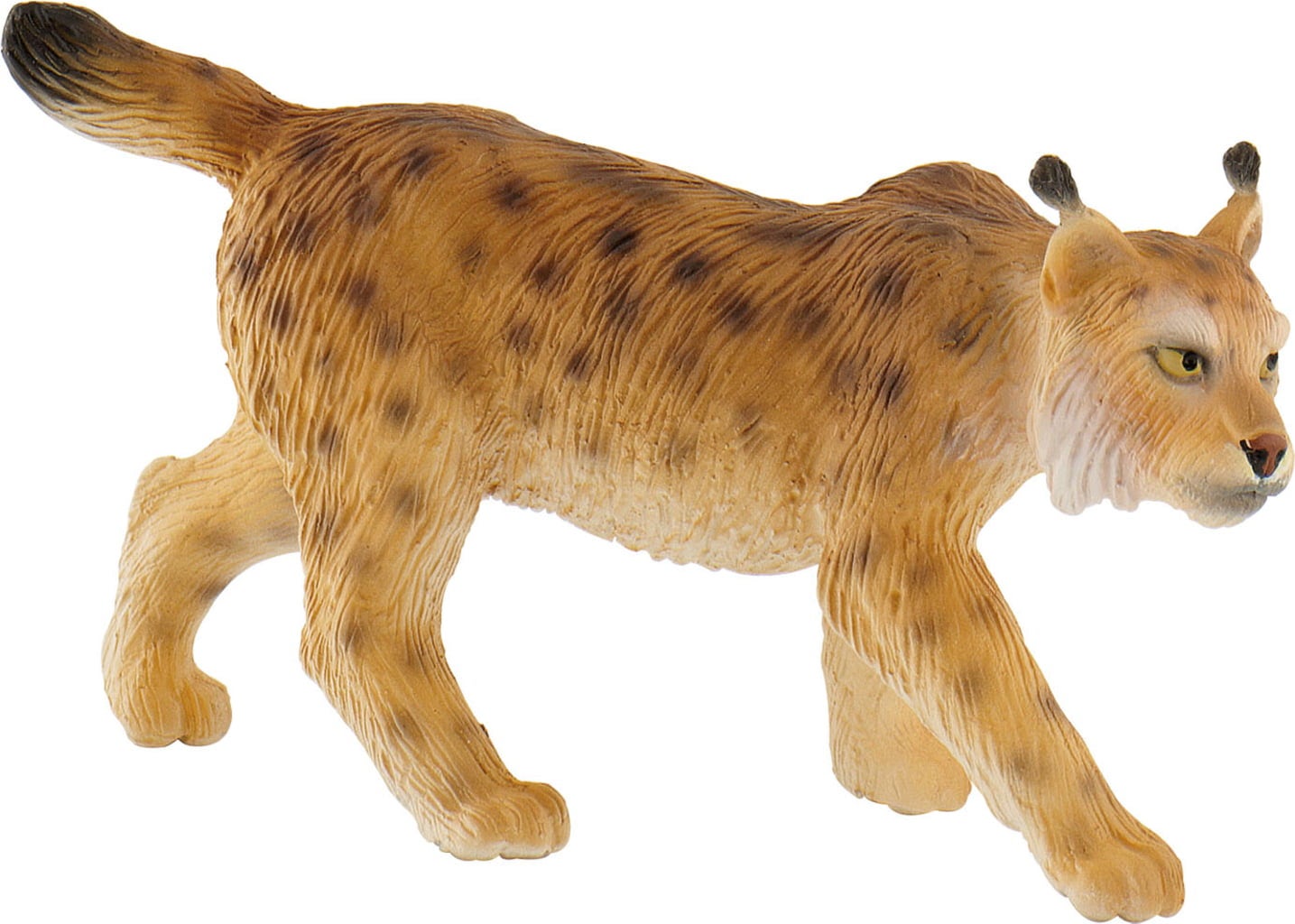 Wald - Luchs