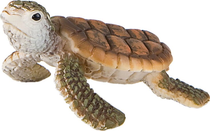 Bullyland Safari - Cucciolo di Tartaruga Marina