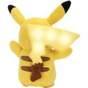 The Pokémon Company Pikachu Electric Charge 