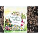 Mud Monsters and Witches' Herbs - Seed Set for Children - 1 set