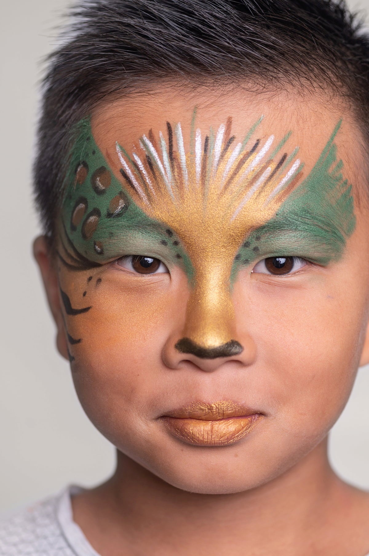 namaki Wild Life Face Paint Pencils Set - 1 Set