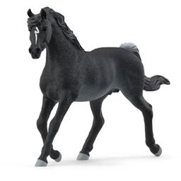 13981 Horse Club - žrebec arabskega konja