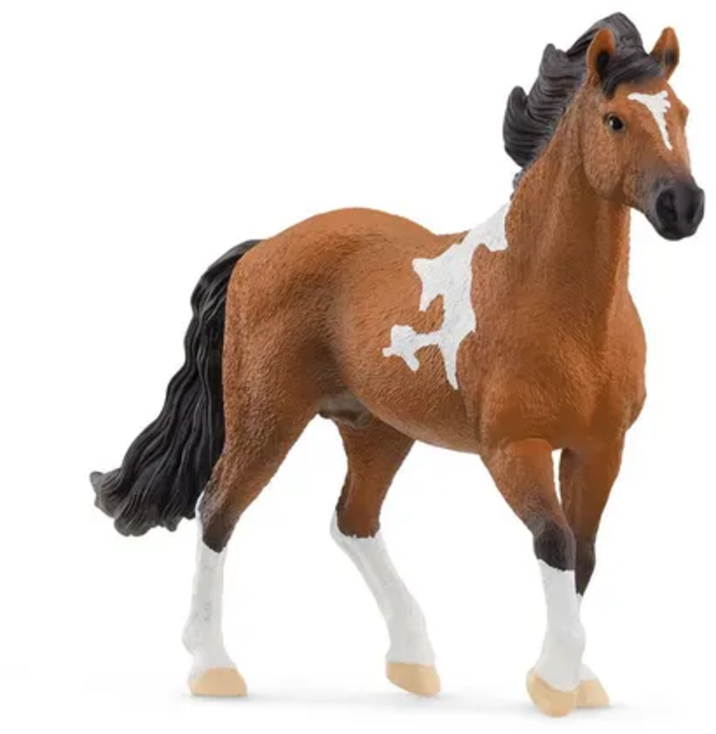 13978 - Horse Club - Stallone Mangalarga Marchador - 1 pz.
