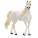 13983 Horse Club - kobila arabskega konja