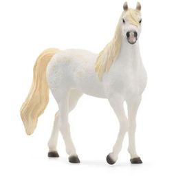 13983 Horse Club - kobila arabskega konja