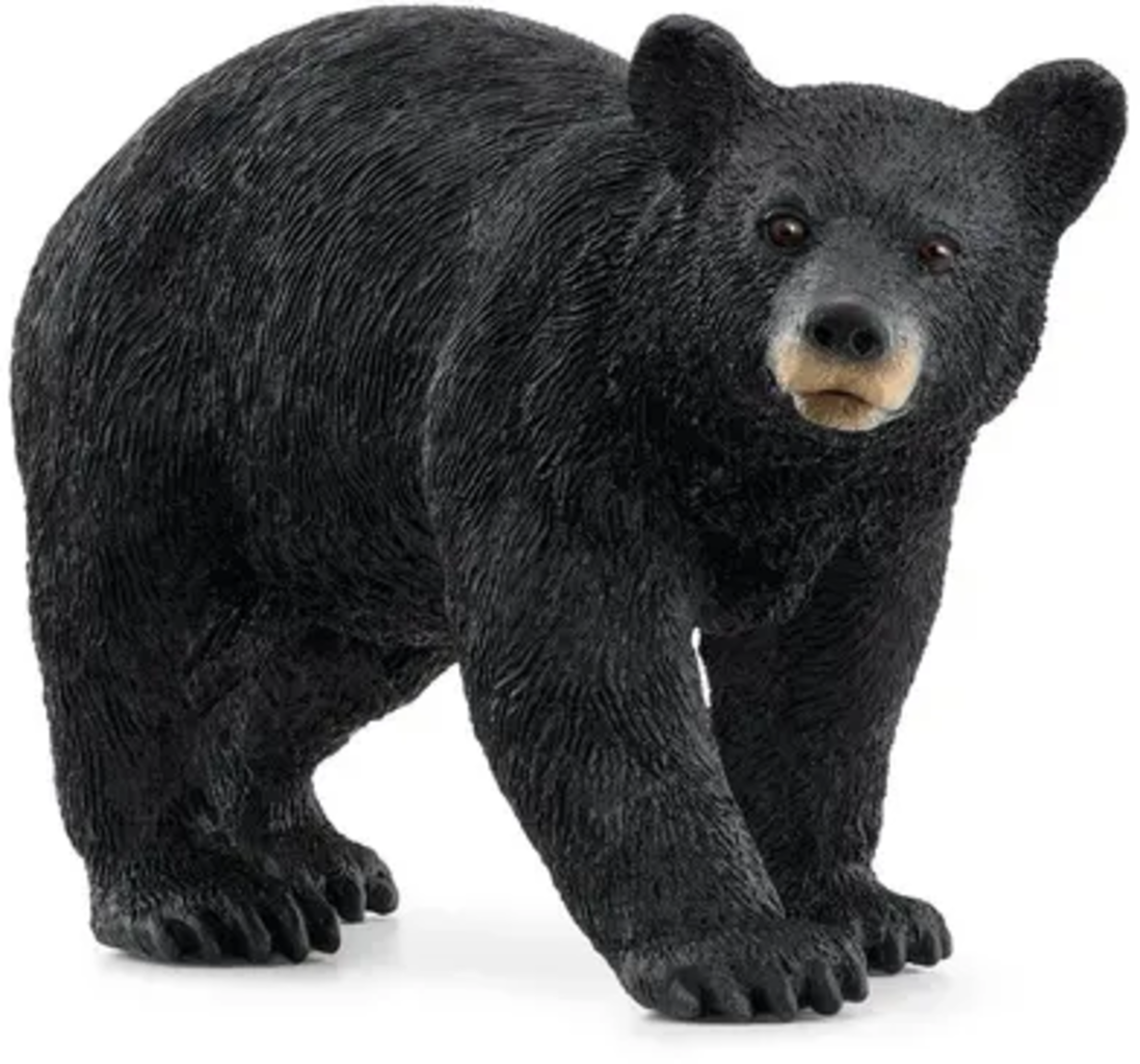 14869 Wild Life - Amerikanischer Schwarzbär - 1 Stk