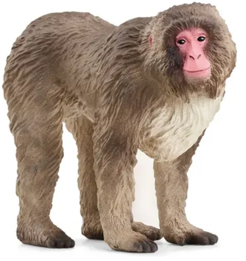 Schleich 14871 Wild Life - Japanmakak - 1 Stk