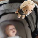 Eddie the Lion – Music Player in a Cloth Bag - 1 item