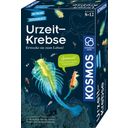 KOSMOS Urzeit-Krebse Experimentierkasten - 1 st.