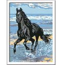Painting by Numbers - Cavallo sulla Spiaggia - 1 pz.