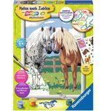 Ravensburger Painting by Numbers - Happy Horses 