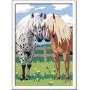 Ravensburger Painting by Numbers - Cavalli Felici - 1 pz.