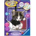 Ravensburger Painting by Numbers - Cuddly Kittens  - 1 item