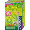 KOSMOS Mimosen-Garten - 1 Stk