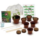 Mimosa Garden (INSTRUCTIONS AND PACKAGE IN GERMAN) - 1 item